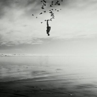 kok最新客户端下载手机版