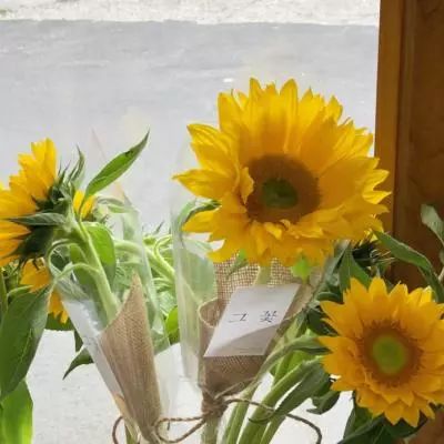 澳门新莆京游戏大厅