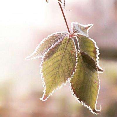 江南全站登录手机app下载